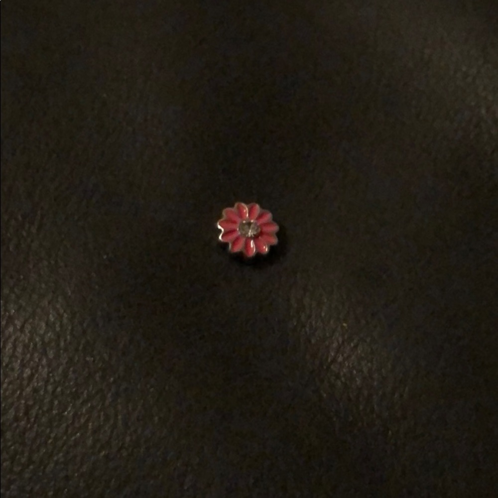 Origami owl charm